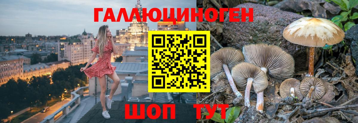 Псилоцибиновые грибы мицелий  Галлюциногенные грибы Cubensis  Янаул  купить  сайты  Вход с VPN 