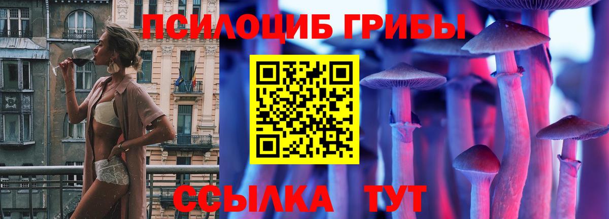 Псилоцибиновые грибы Psilocybe Янаул